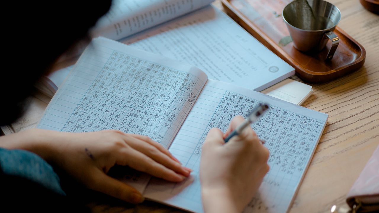 Persona estudiando un idioma con libros y apuntes